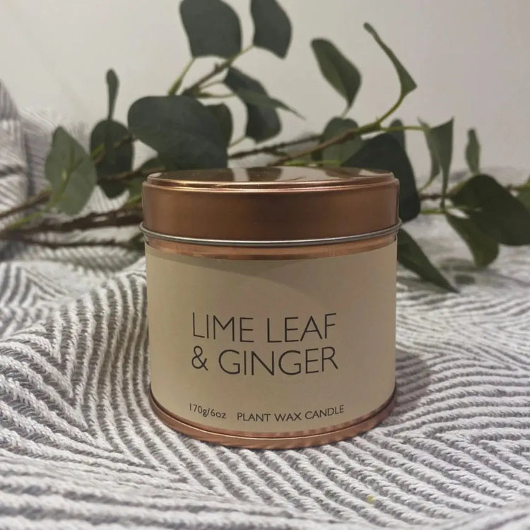 Tin Candle Lime Leaf & Ginger