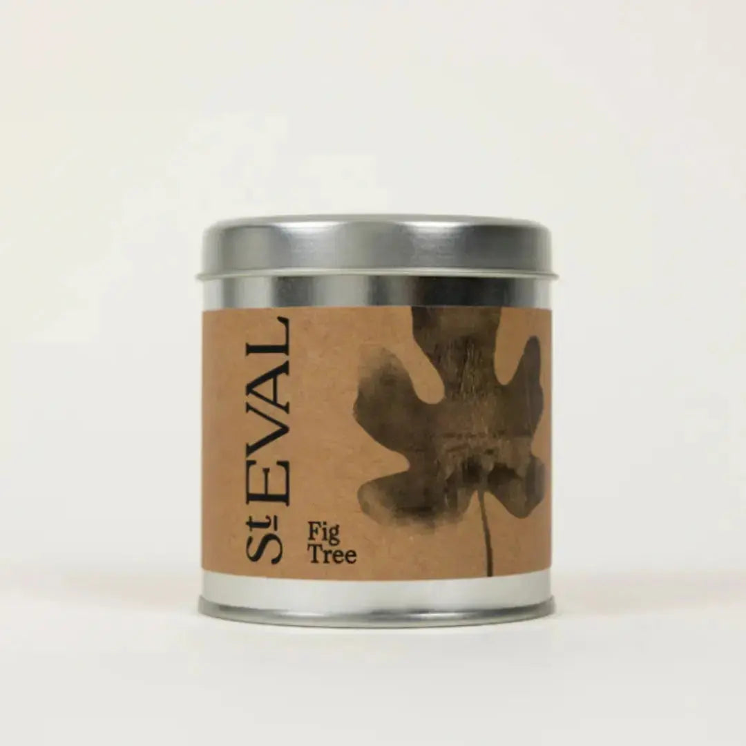 st-eval-tin-candle-fig-tree
