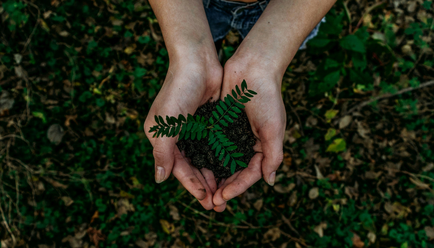 sustainability gifts at brown paper packages