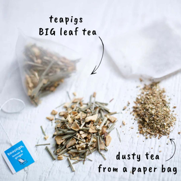 Teapigs Lemon & Ginger Tea
