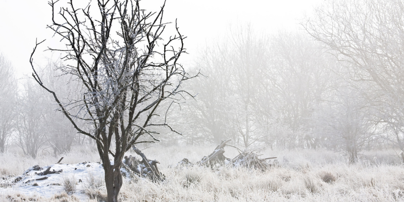 winter-loneliness