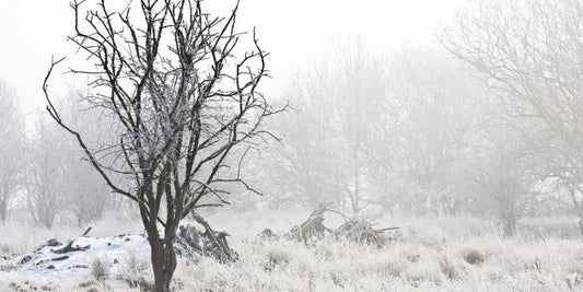winter-loneliness