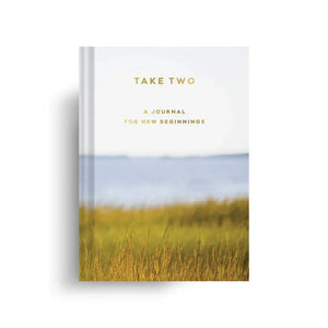 Take Two journal 
