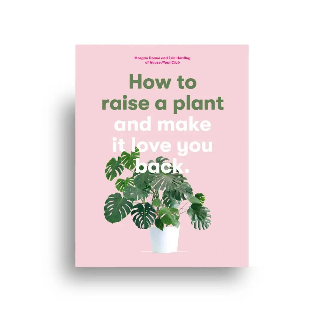 How to Raise a Plant 