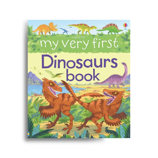 My very first dinosaurs book 