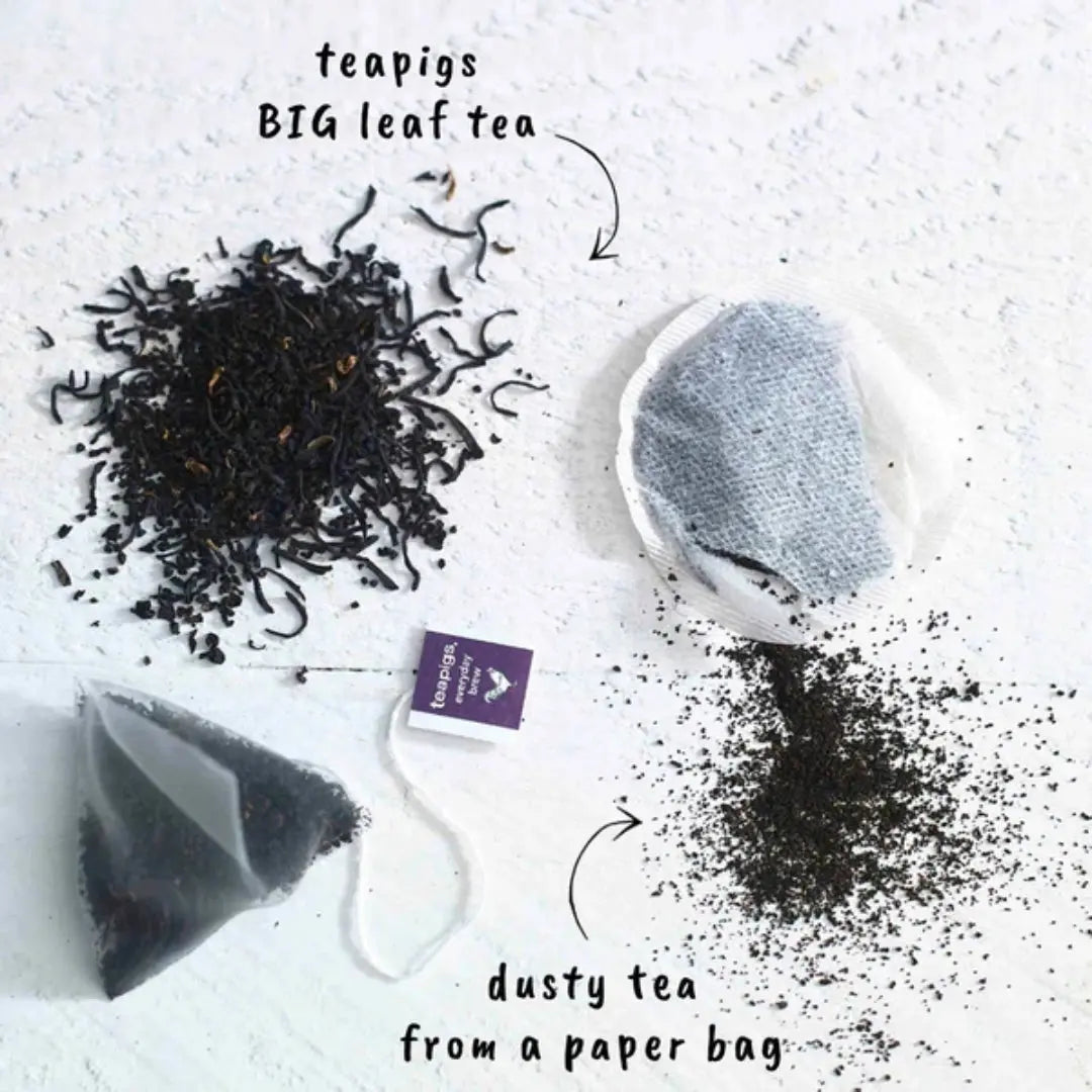 Teapigs Everyday Brew 50 Tea Bags 