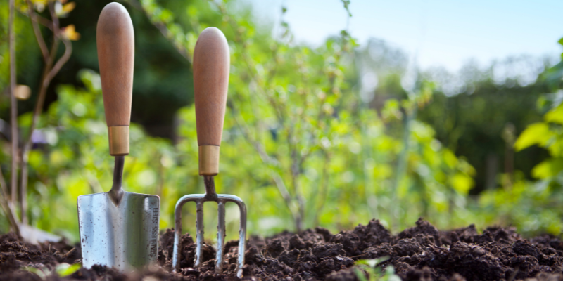 Why Gardening is good for your wellbeing.